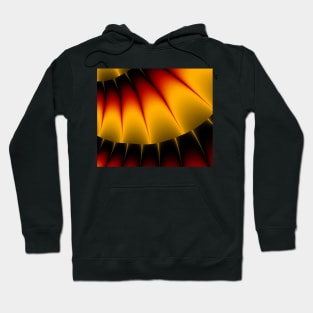 Wings Hoodie